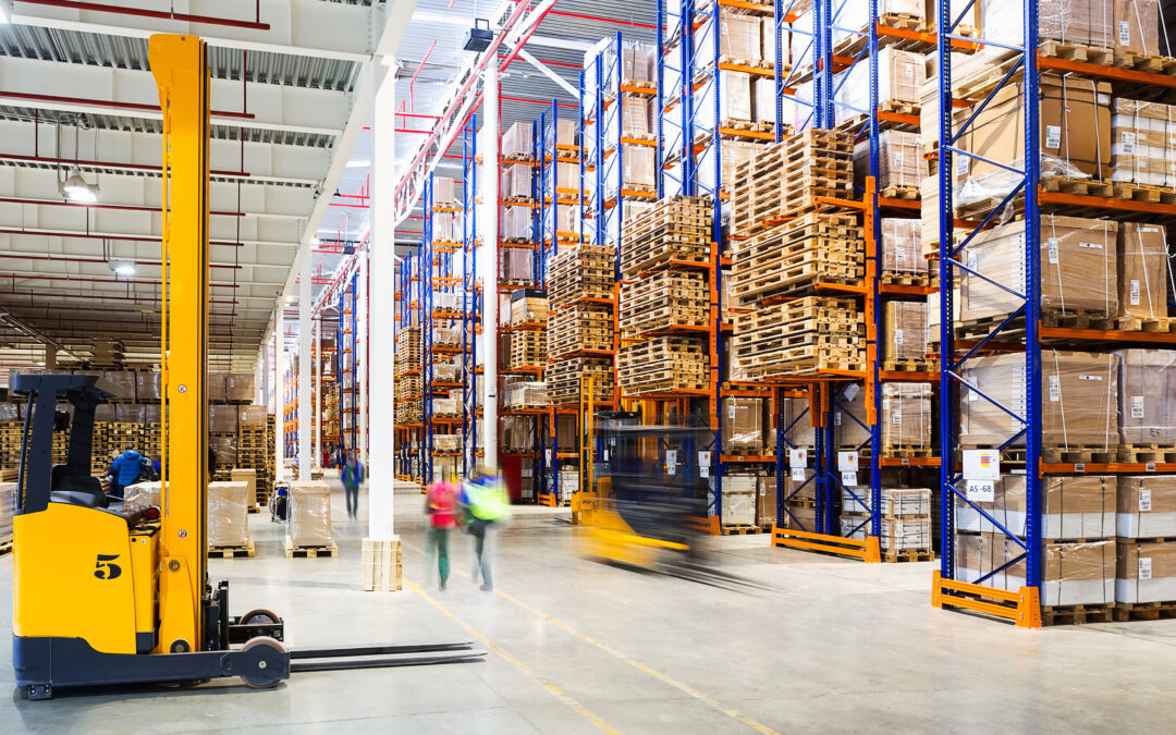 Warehouse Design, Move, and Operational Improvement