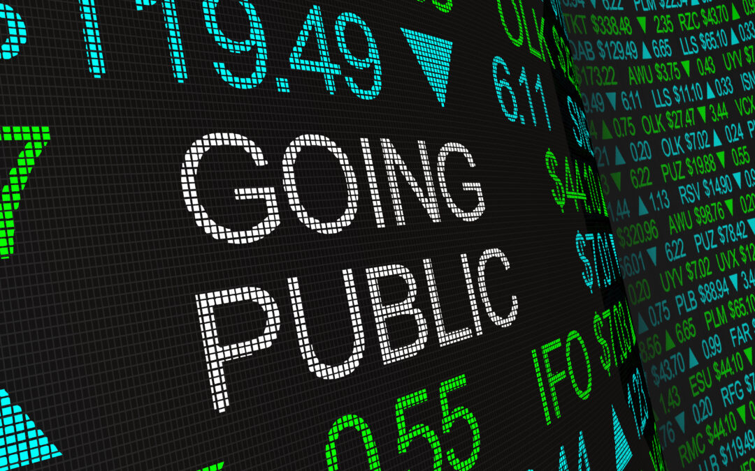Public Company Readiness: Going Public. Being Public